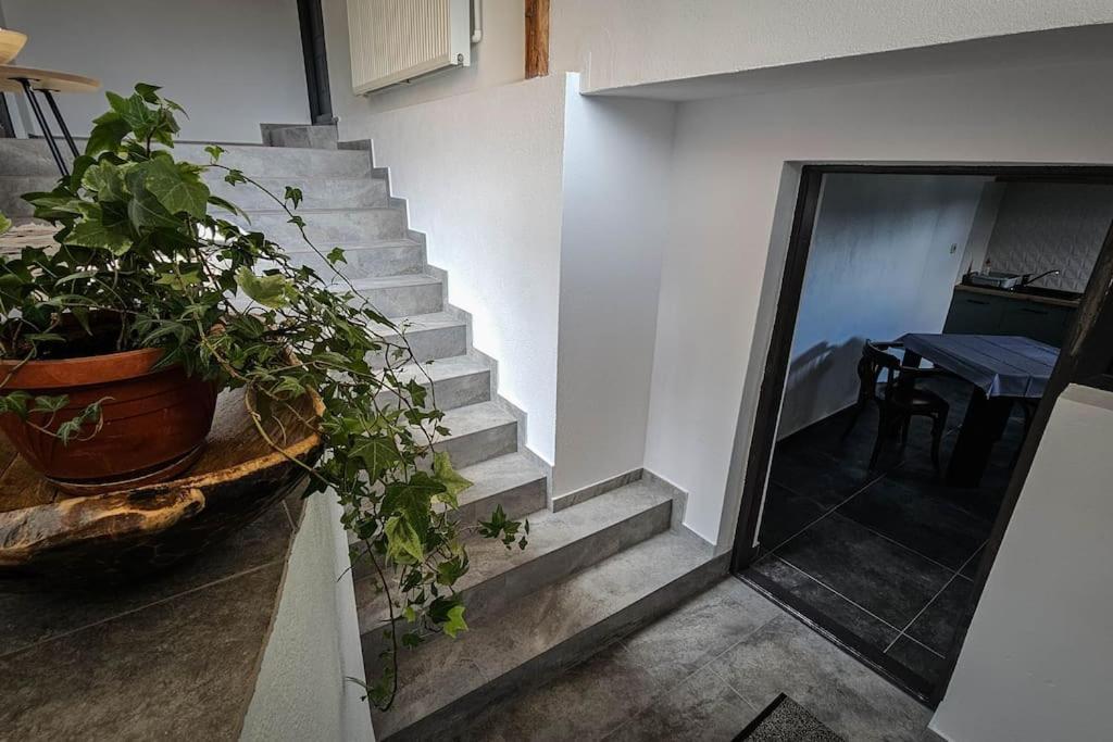 Chalet Dor De Munte Predeal Exteriér fotografie