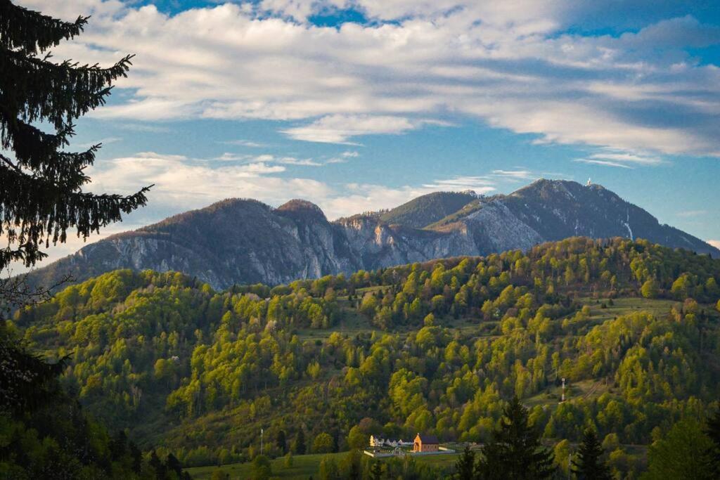 Chalet Dor De Munte Predeal Exteriér fotografie